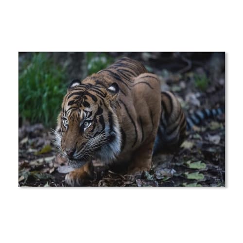 Puzzel Für Erwachsene Jigsaw Puzzle 1000，Tiger，DIY Papp Puzzle Einzigartiges Geschenk（38x26cm）-A22 von ObuMI