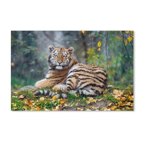 Puzzle 1000 Stück，Tiger，Für PapierErwachsene Spielzeug Dekompression Spiel（38x26cm）-A16 von ObuMI