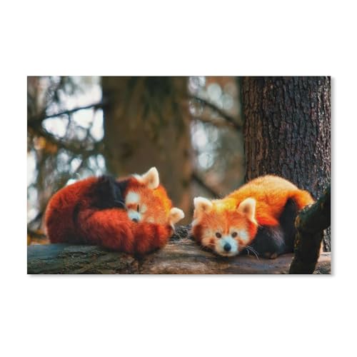 Puzzle 1000 Teile，2 Rote Pandas，Papier Adult Toys Dekompressionsspiel（38x26cm）-B63 von ObuMI