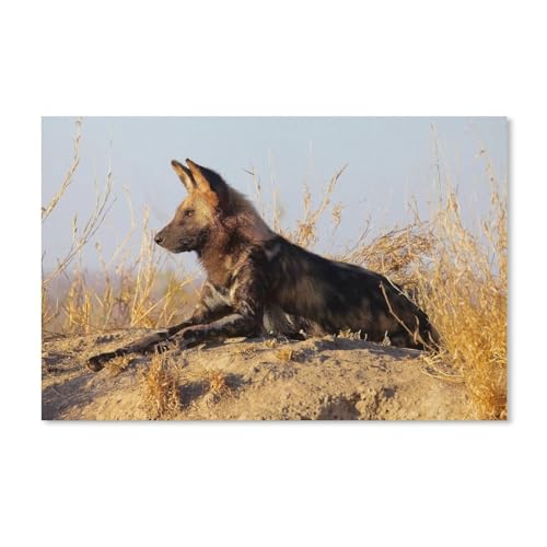 Puzzle 1000 Teile，Afrikanischer Wildhund，Karton Kinder Wiedergeboren Dekompressionsspiel（38x26cm）-A239 von ObuMI