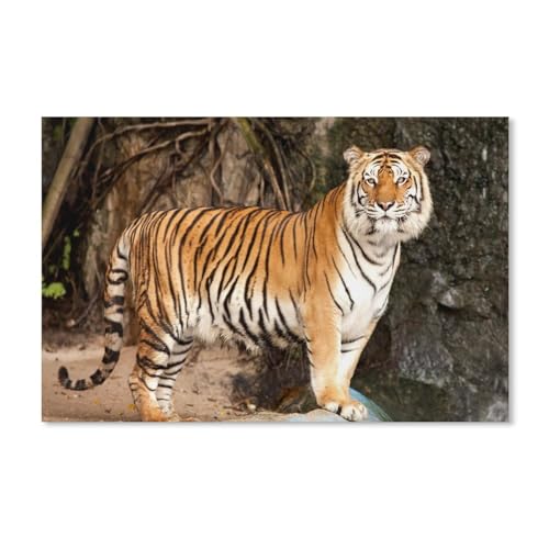 Puzzle 1000 Teile，Sibirischer Tiger，Papier Kinder Wiedergeboren Dekompressionsspiel（38x26cm）-20 von ObuMI