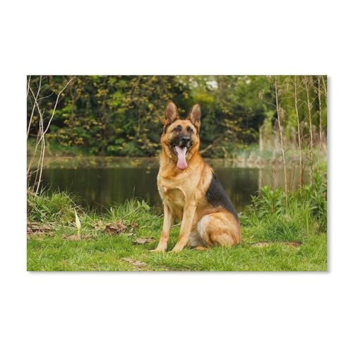 Puzzle 1000 Teile DIY Holz Puzzle，Deutscher Schäferhund auf dem Gras am Fluss，Freizeit Creative Kreuzworträtsel Spiel Kind Puzzle Spielzeug Geburtstag Festival Einzigartiges Geschenk(75x50cm-B20 von ObuMI