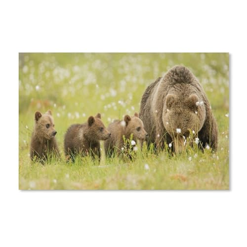 Puzzle 1000 Teile für Erwachsene，Bären, Braunbären, Wiese, Bärenjunge，Puzzle Teenager Jungen Mädchen Puzzle Schwieriges, Herausforderndes Puzzle für Partyspiele（38x26cm）-A1 von ObuMI