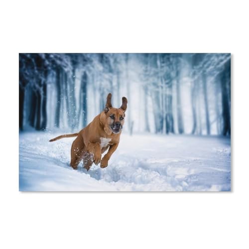 Puzzles 1000 Stück Holz Montage Bild，Hund läuft im Schnee，Erwachsene Spiele Lernspielzeug（75x50cm）-A226 von ObuMI