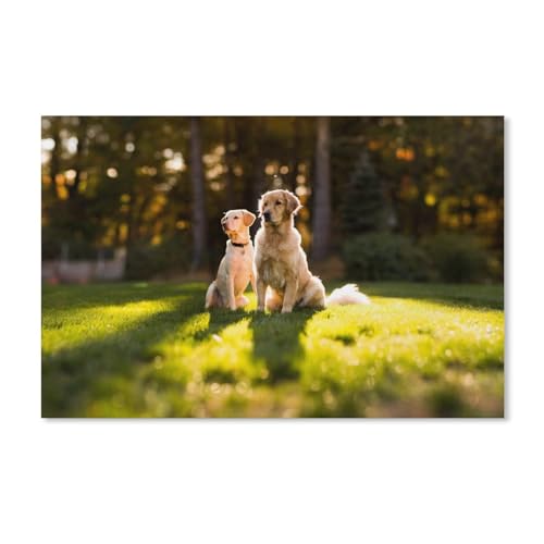 Puzzles 1000 Stück Holz Montage Bild，Zwei Hunde in der Sonne auf dem Gras，Filmplakat Für Erwachsene Spiele Lernspielzeug（75x50cm）-A228 von ObuMI