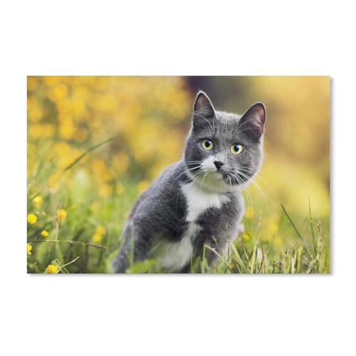 Puzzles 1000 Stück Karton Montage Bild，Graue Katze im Gras schaut Dich an，Filmplakat Für Erwachsene Spiele Lernspielzeug（38x26cm）-A301 von ObuMI