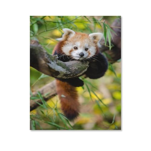 Puzzles Mit 1000 Teilen Puzzles Aus Papier ，Roter Panda-Kletterbaum，Puzzle 1000 Teile Für Erwachsene Lustige Kreative DIY-Spielzeuggeschenke Für Mädchen （38x26cm）-C74 von ObuMI