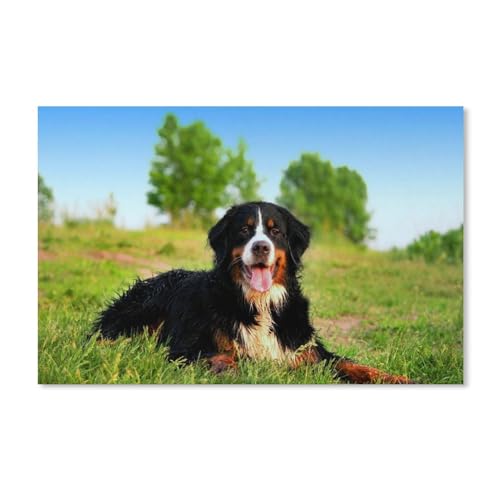 Schweizer Berner Sennenhund auf nassem Gras，PapierLandscape Puzzle, Jigsaw Puzzles 1000 Pieces, for Adult Kids Decompression Puzzle Nice Gifts（52x38cm）-C15 von ObuMI