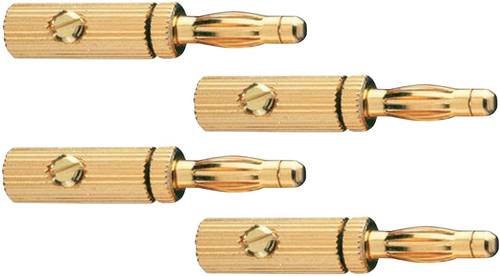 Oehlbach 3009 Lautsprecher-Steckverbinder Stecker, gerade Polzahl: 3 Gold 4St. von Oehlbach