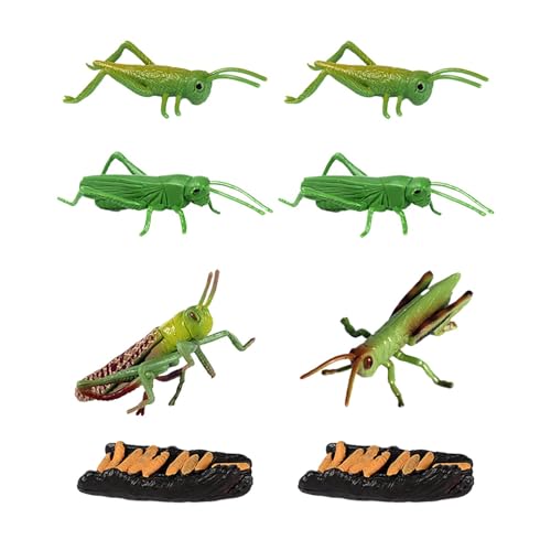 Vorschulwissenschaftsspielzeug, Wissenschaftsspielzeug für Kinder, Realistische Vorschule Science Kit Tierfiguren, Small Animal Match Sets Locust Model für Kinder Mädchen von Oldmoom