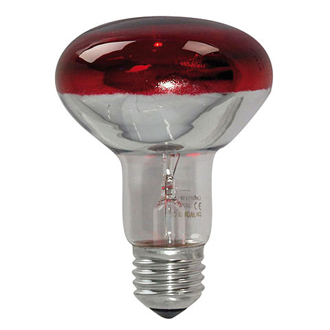 Omnilux R80 230 V / 60 W E-27 red Lampe (Leuchtmittel) von Omnilux