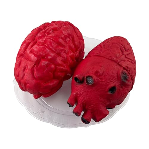 Realistische menschliche Herz-Requisite, Herz-Requisite Blut,Gehirn-Herz auf einem Teller-Design, blutiges Simulationsherz | Simulation Herz Ornament Gruselige blutige Requisite Halloween Fake Heart S von Opilroyn