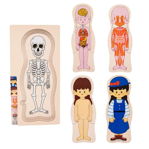 Wooden Body Parts Puzzle, Educational Anatomy Jigsaw, Learning Anatomy Puzzle, Skeleton Toys for Kids, Human Body Model Puzzle, Anatomy Learning Tool, Kids Educational Toys von Opvonxeh