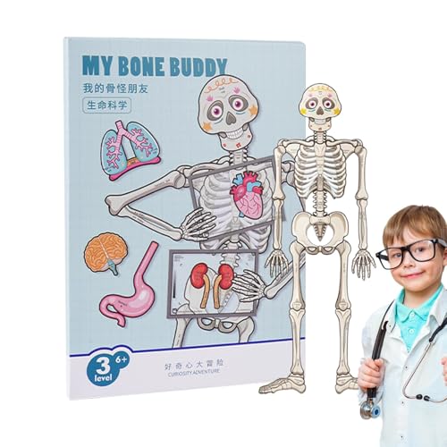 opvonxeh Themed Design Childrens Educational Toys, Sturdy Material Organ Anatomy Set, Easy to Use Interactive Anatomy Model, Easy to Install Human Body Puzzle for Kids von Opvonxeh