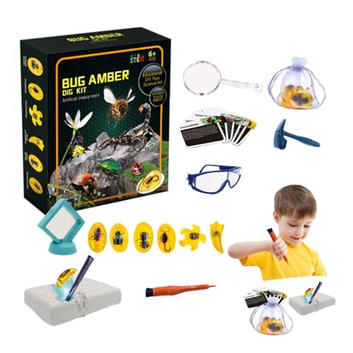 Oseczmut Fly Toys Dig Kits,Fly Amber Dig Kit,Amber Excavation Toys Fliegenmodell | Lernspielzeug, 6 Fliegenproben-Wissenschaftssets, künstliches Fliegen-STEM-Spielzeug, Grabset, Partygeschenke für und von Oseczmut