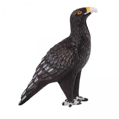 Oshhni 6X Animal Eagle Model Figurine Home Decor Preschool Educational for Collection von Oshhni