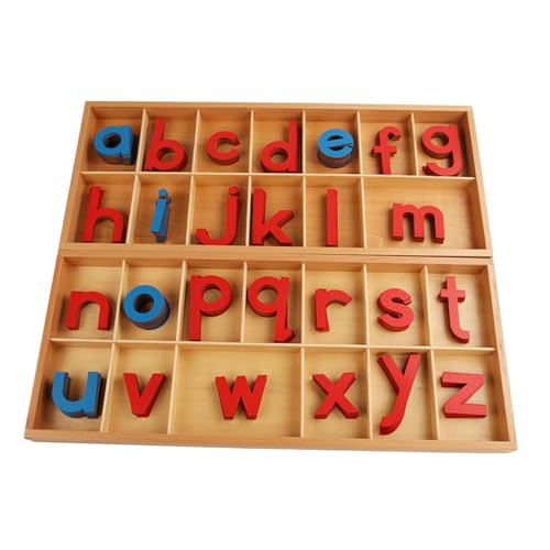 Oshhni Bewegliches Alphabet mit Kasten, Rechtschreibspielzeug -Lehrenhilfen, Alphabet -Sprachobjekte für Konsonanten, Lesen, Lesen von Oshhni