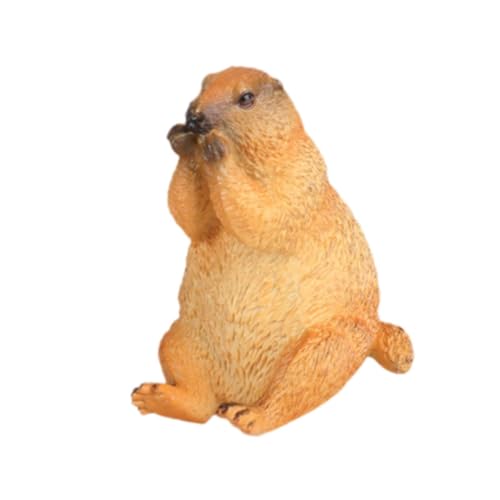 Oshhni Groundhog Model Figur Kognitive Spielzeug Miniatur Handwerkssimulation Desktop -Origination Bildung für Jungen Mädchen Kinder Kinder Kinder, Sitzung von Oshhni