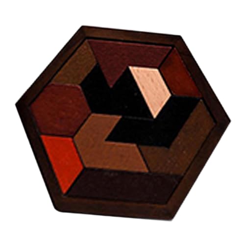 Oshhni Holz-Tangram-Puzzle, Denksport-Puzzle, Spaß, IQ-Spiel, Farbwahrnehmung, geometrisches Tangram-Puzzle, logisches Spiel für den Vorschulbereich, 11 Blöcke von Oshhni