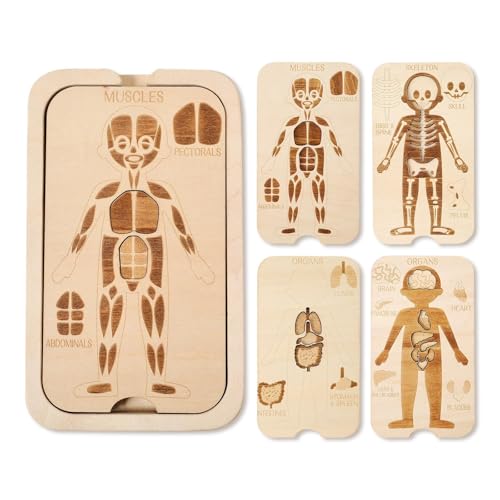 Oshhni Holzkörperpuzzle, Lernspielzeug, 4-Schichten-Puzzle, Puzzle zum Geburtstag, Alter 3 4 5 6, Kindertag Vorschule Oshhni Holzkörperpuzzle, Lernspielzeug, 4-Schichten-Puzzle, Puzzle zum Geburtstag, Alter 3 4 5 6, Kindertag Vorschule von Oshhni