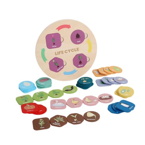 Oshhni Montessori-Lebenszyklus-Puzzle-Brett-Set, pädagogisches Lernset, Geschenk, naturwissenschaftliches Lernaktivitäten-Spielzeug für Jungen und Mädchen von Oshhni