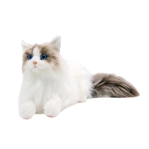 Oshhni Ragdoll Katze Stofftiere Katze Plüschspielzeug, weiches Kätzchen ausgestopftes Spielzeug, Katzenpuppe, Begleiter für Kinder Mädchen Kinder Geburtstag, Katze von Oshhni