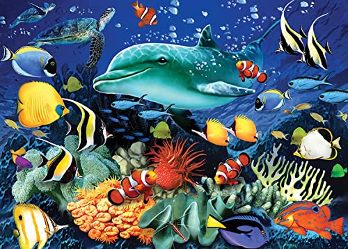 Coral Reef 1000 Piece Jigsaw von Otter House