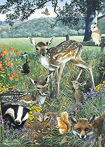 JIGSAW 1000 PIECE RECTANGULAR WOODLAND F von Otter House