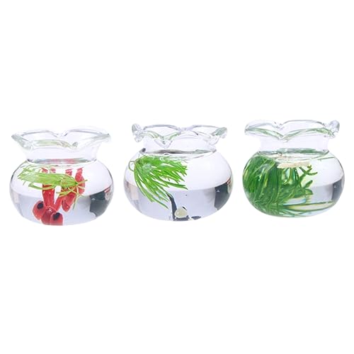 Outanaya 3 Stück Aquarium Mit Fisch Modell 1 12 Fischglas Mini Wohnkultur Puppenhaus Desktop Ornamente Winzige Fischschalen Aquarium Modell Kleine Fischschale 1 12 Maßstab Aquarium Modelle von Outanaya