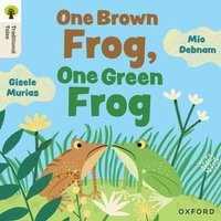 Oxford Reading Tree Traditional Tales: Level 4: One Brown Frog, One Green Frog von Oxford University Press