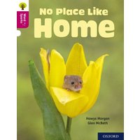 Oxford Reading Tree Word Sparks: Level 10: No Place Like Home von Oxford Academic