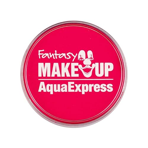 PAINT IT EASY NEU Kinderschminke Karneval Aqua-Express Schminke auf Wasserbasis, 30g, Pink von PAINT IT EASY