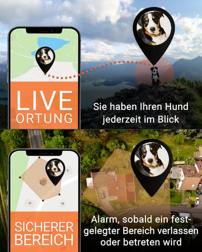 PAJ GPS PET Finder 4G GSM-Tracker Haustiertracker 1St. von PAJ GPS