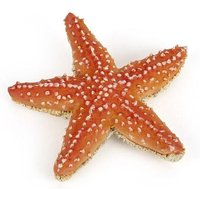 Spielfigur Seestern Spielfigur Seestern von PAPO SAS