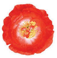 PARTY DISCOUNT Hawaii-Blume Hibiskus mit Clip, rot von PARTY DISCOUNT