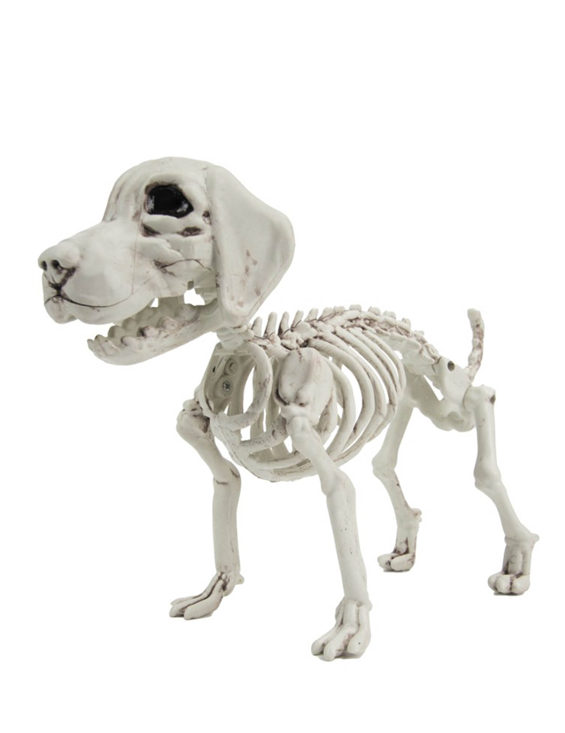 Hunde Skelett Deko für Halloween 26cm Hunde Skelett Deko für Halloween 26cm von PARTYPRO