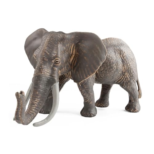 PASHFSA Realistisches Elefantenmodell Wissenschaftliche Ausstellungen Klassenzimmer. Afrikanisches Tiermodell Zur Ausstellung Sammlung von PASHFSA