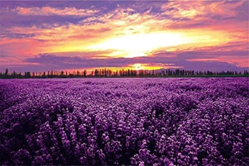 1000 Stück Bunte Lila Lavendel Blumen Meer Feld Sonnenuntergang Landschaft Erwachsene Spiele Holz Puzzles von PEKNUX