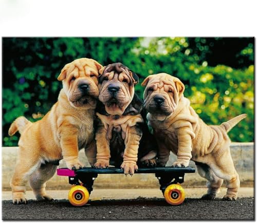 1000 Stück Holzpuzzle Für Erwachsene DREI Shar-Pei-Hunde Spielen Skateboard Eine Herausforderung Für Jugendliche Und Kinder Lustiges Puzzle Familienspiel Geschenk von PEKNUX