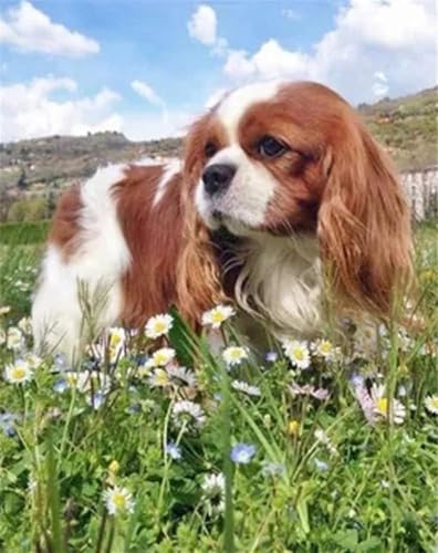 1000 Stück Hunde-Tierpuzzle Puzzle Für Erwachsene Cavalier King Charles Spaniel Holzpuzzle Für & Teenager Heimdekoration Lernspielzeug Lustige Spiele Für Die Ganze Familie Geschenke von PEKNUX