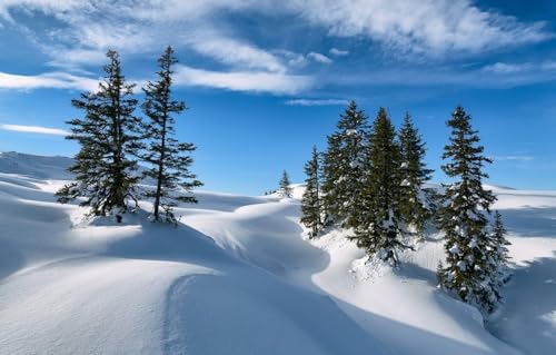 1000 Stück Puzzle Aus Holz Für Erwachsene Schneelandschaft von PEKNUX