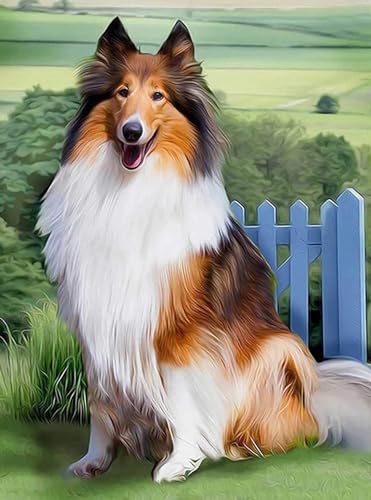 1000 Stück Puzzle Aus Holz Puzzle Für Familienaktivitäten Spiele Collie-Hund Familiendekoration Geburtstagsgeschenk Geeignet Für Teenager Und Erwachsene von PEKNUX