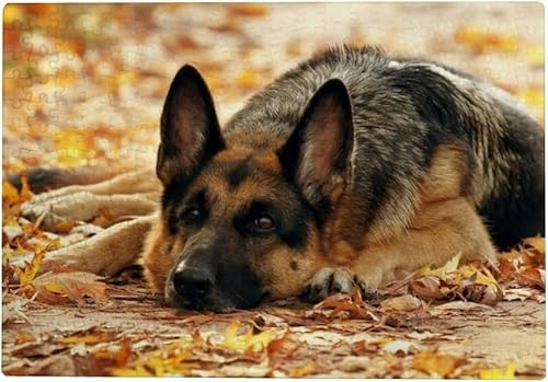 1000 Stück Puzzle Für Erwachsene Deutscher Schäferhund von PEKNUX