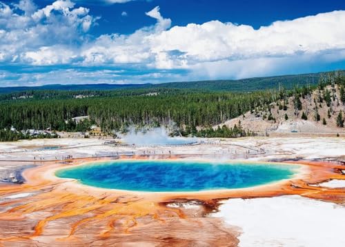 1000 Stück Puzzle Für Erwachsene Yellowstone-Nationalpark Dickes Stabiles Präzises Ineinander Greifendes Familienspiel Puzzle Alter 14+ von PEKNUX