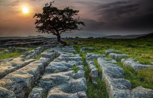 1000 Stück Puzzles Für Erwachsene Holzpuzzles Kunstwerke Puzzles Wanddekoration England Yorkshire Dales Landschaften von PEKNUX