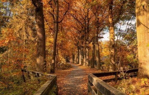 1000 Stück Puzzles Für Erwachsene Holzpuzzles Kunstwerke Puzzles Wanddekoration Landschaften von PEKNUX