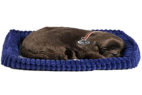 Perfect Petzzz 96231 Plüschhund Chocolate Labrador mit Körbchen, Größe 25 cm, Kuscheltier atmet wie ein echtes Haustier, schlafender Hund mit Halsband, Stofftier mit flauschigem Fell, Dunkelbraun von Plenty Gifts