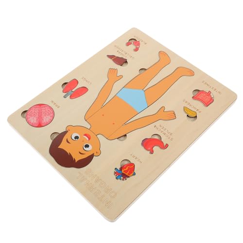 PERSELOSO Holzpuzzle Menschliche Organe Lernspielzeug für Kleinkinder Ab Jahren Montessori Holzpuzzle Körperteile Lernspielzeug zur Frühkindlichen und Kognitiven Entwicklung PERSELOSO Holzpuzzle Menschliche Organe Lernspielzeug für Kleinkinder Ab Jahren Montessori Holzpuzzle Körperteile Lernspielzeug zur Frühkindlichen und Kognitiven Entwicklung von PERSELOSO