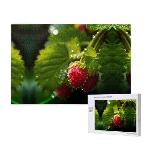 Himbeeren-Puzzle, 1000 Teile für Puzzle, Holzpuzzle für Familie, Freunde, Heimdekoration, Wandkunst, 75 x 50 cm von PHAYAH