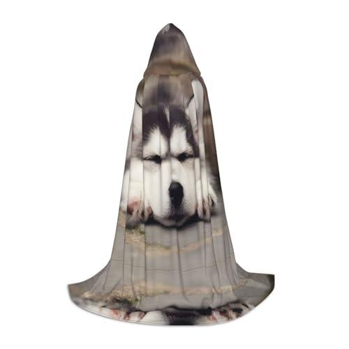 PHAYAH Husky Hunde-Umhang mit Kapuze für Halloween, Erwachsene, Damen, Herren, Halloween, Verkleidung, Party, Cosplay, Kostüme, Größe S PHAYAH Husky Hunde-Umhang mit Kapuze für Halloween, Erwachsene, Damen, Herren, Halloween, Verkleidung, Party, Cosplay, Kostüme, Größe S von PHAYAH